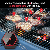 Wireless Food Thermometer with 150ft Range and 6 Probes IBT-6XS